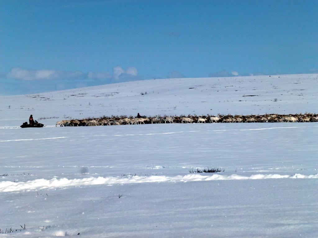 Jergul Astu Villa Karasjok Luaran gambar
